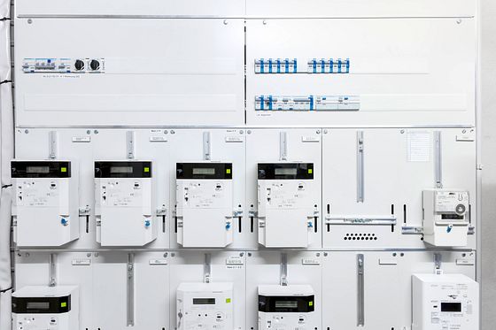 Entretien avec Thomas Keller et Daniel Otti sur la révision de l’OIBT