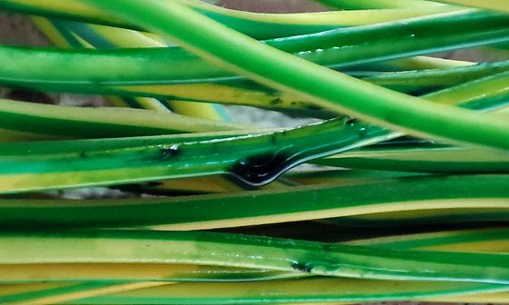 Bildarchiv KASPAR BELSER ELEKTROPLANUNG